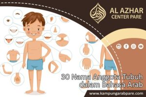 Nama Anggota Tubuh dalam Bahasa Arab
